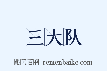 三大队是什么意思的图片